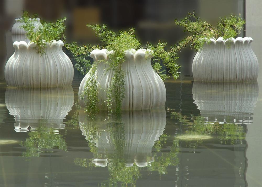 Jaipur Marriott Hotel Eksteriør billede The watercress is a common plant used in the method.